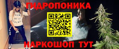 a pvp Камышлов