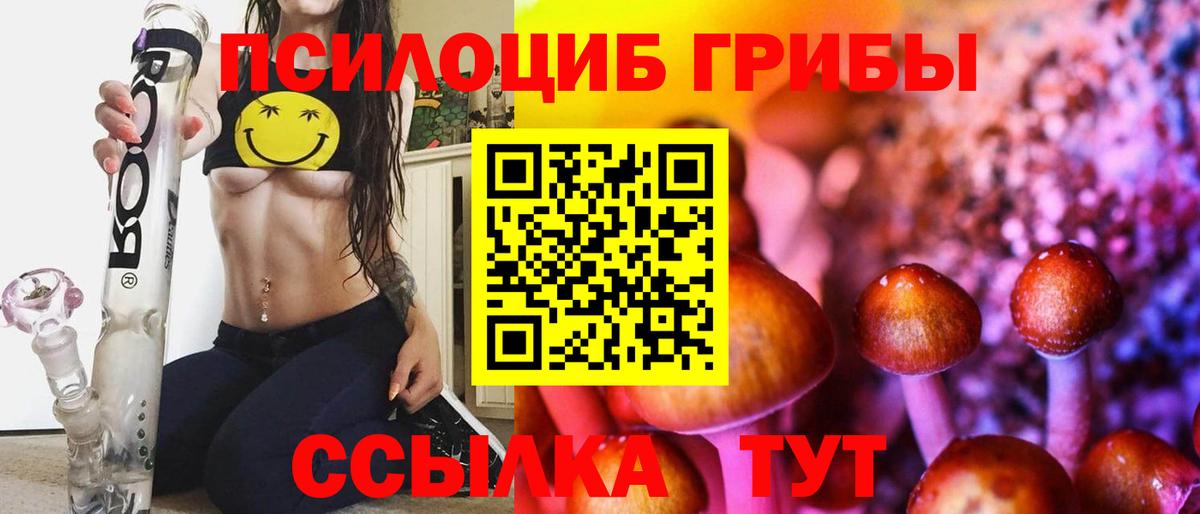 Галлюциногенные грибы мицелий Верхняя Пышма