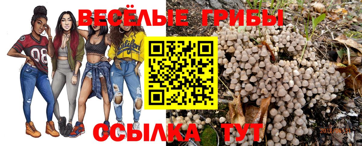 Верхняя Пышма  Псилоцибиновые грибы Psilocybine cubensis  Галлюциногенные грибы ЛСД  Вход с VPN 